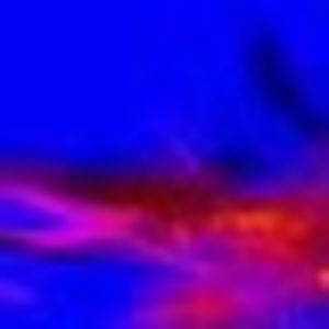 Meet your Posher, Dania